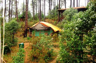 Summer Hill – Shimla